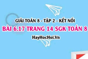 Bài 6.17 trang 14 Toán 8 Tập 2 Kết nối tri thức